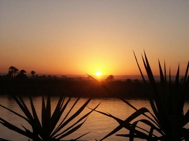 Pict0223